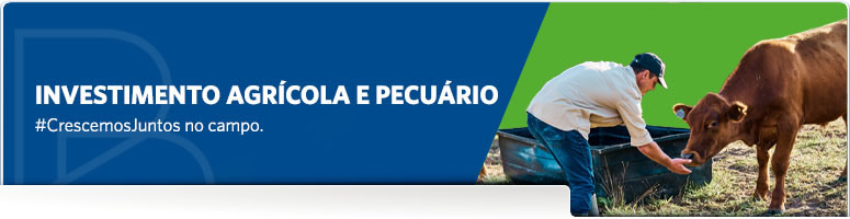 Banner crédito rural