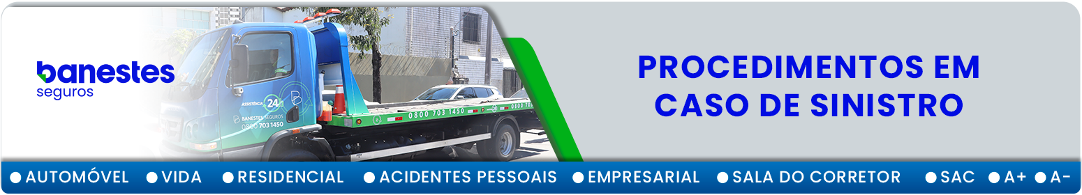 imagem banseg servi&ccedil;os